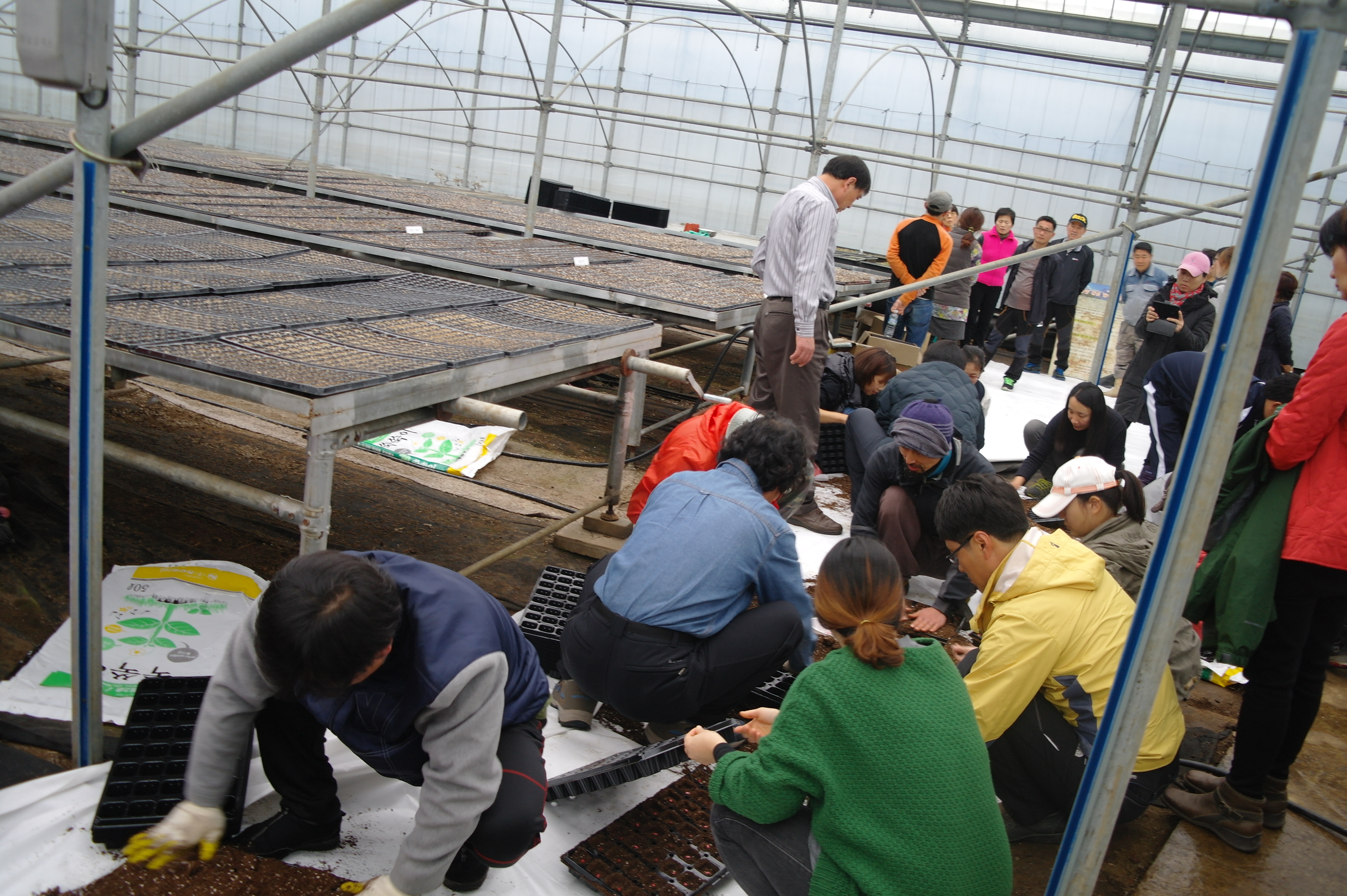 귀농귀촌 신규농업인 기초영농과정 파종실습